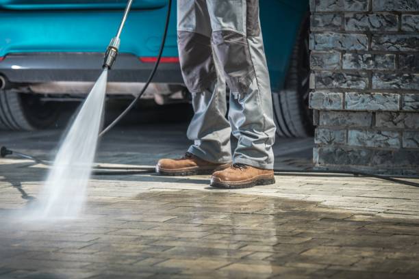 Best Paint Preparation  in Kenedy, TX