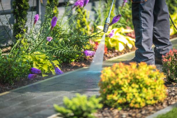 Best Driveway Pressure Washing  in Kenedy, TX