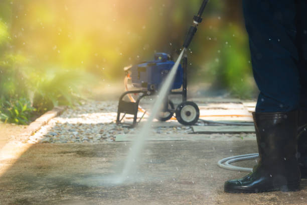 Best Solar Panel Cleaning  in Kenedy, TX